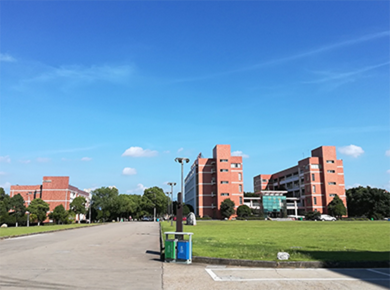 需要高含金量正规学历